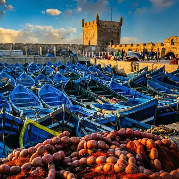 Essaouira — Cité Atlantique & Artistes - photo 6
