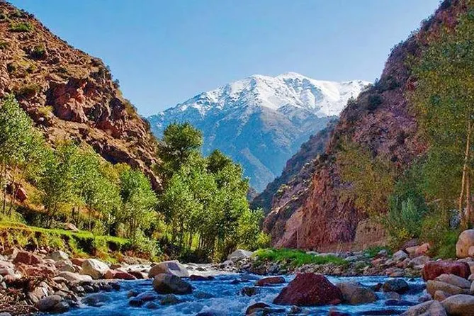 Vallée de l'Ourika — Oasis Verte de l'Atlas