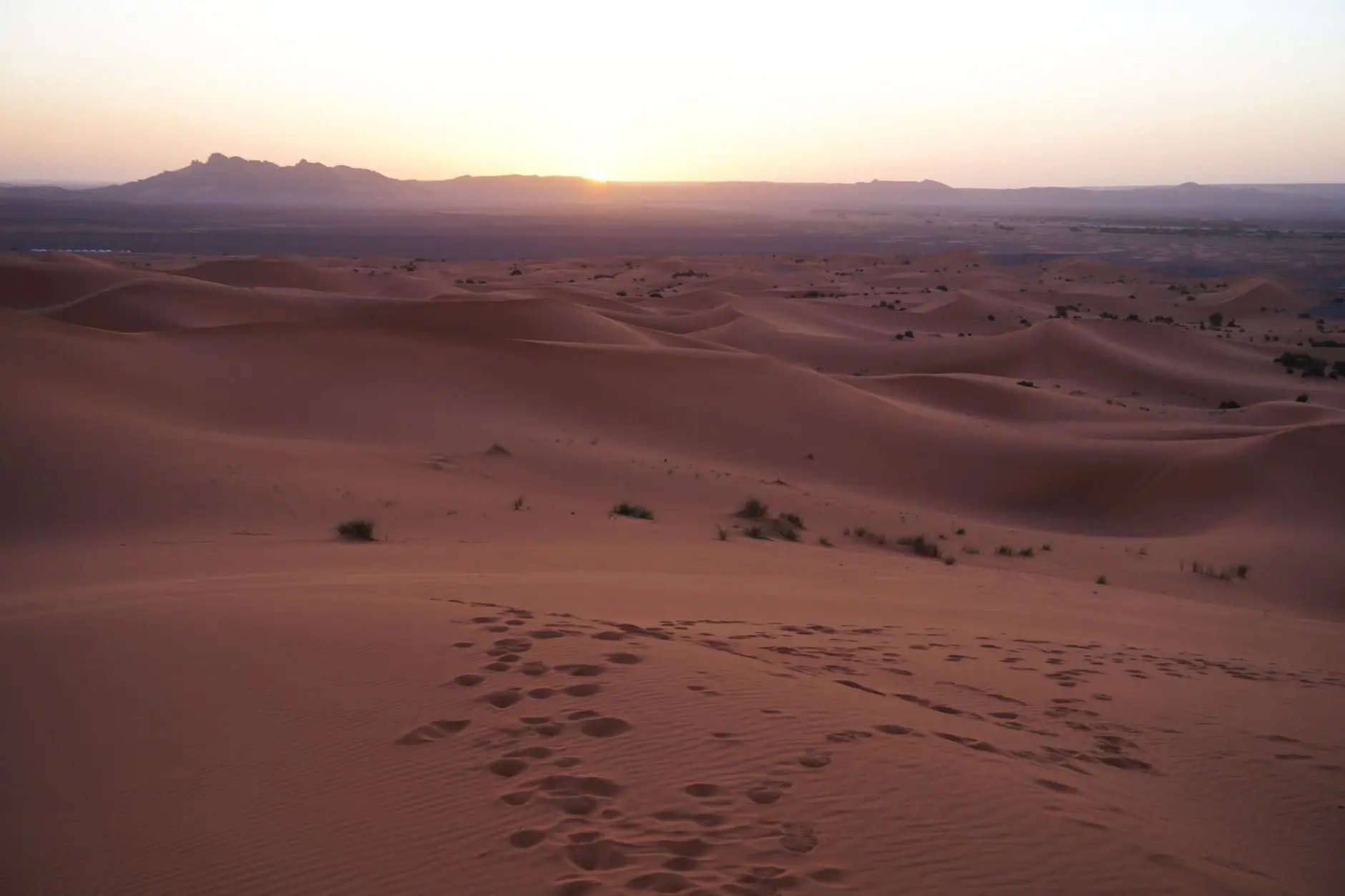 Sahara & Merzouga